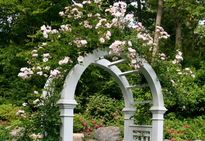 spring garden