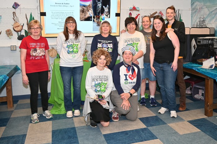 whaling museum of cold spring harbor all paws on hands cat adoption event 2025