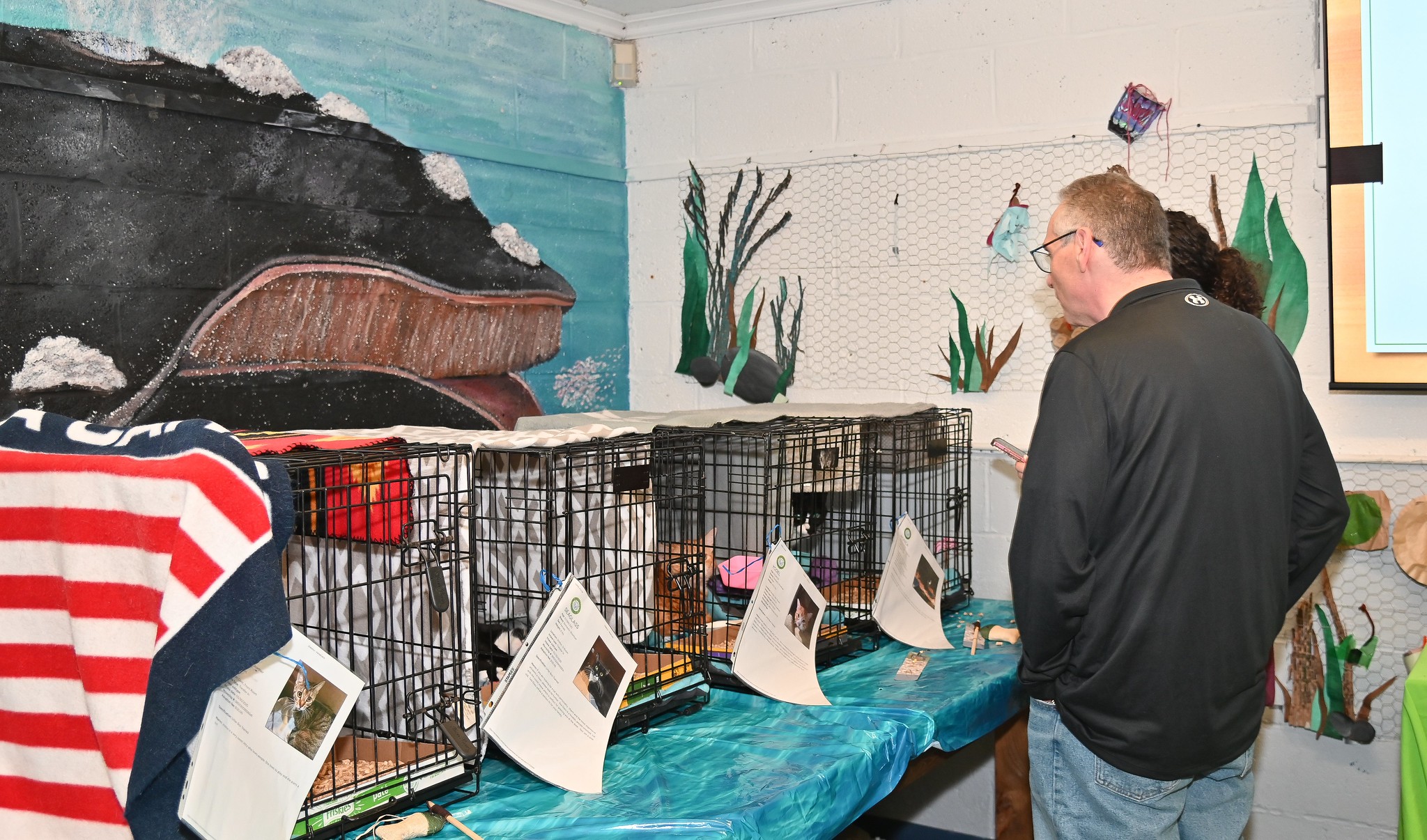 whaling museum of cold spring harbor all paws on hands cat adoption event 2025
