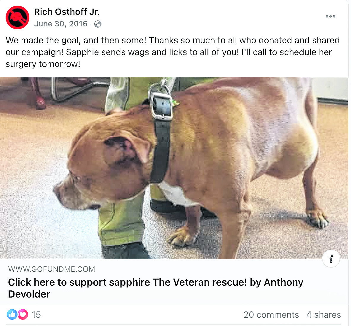 George Santos has always denied direct involvement with the GoFundMe for veteran Rich Osthoff's service dog, Sapphire — until now.