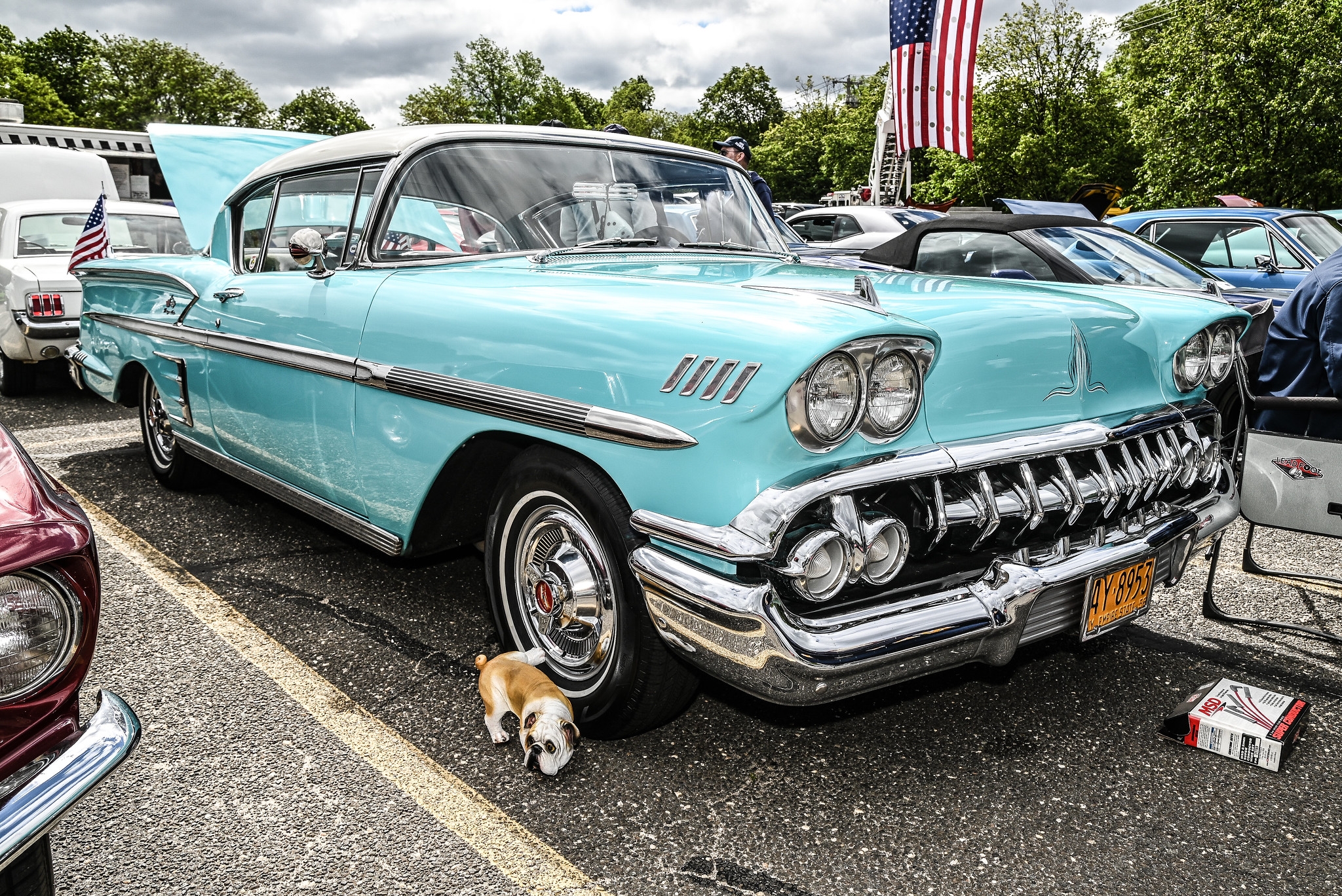paws of war car show 2025